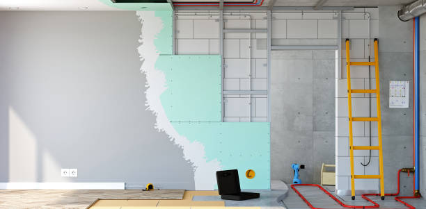 Best Black Mold Removal  in Gilroy, CA