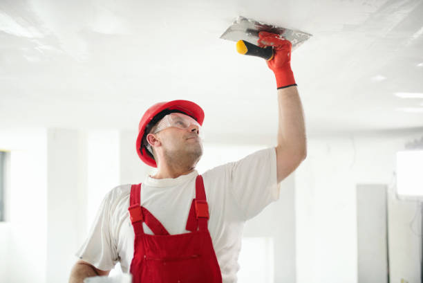 Trusted Gilroy, CA Mold Removal Experts
