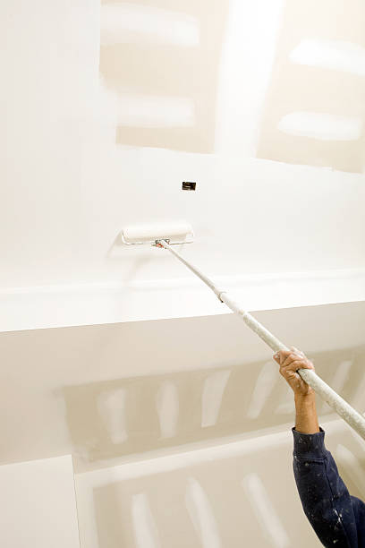 Biohazard Mold Removal in Gilroy, CA