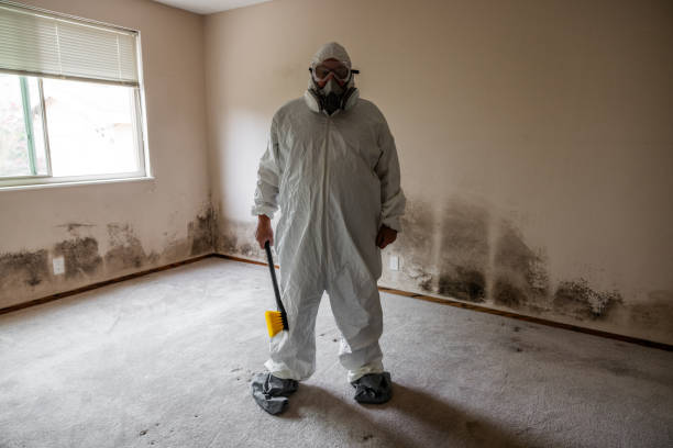 Best Emergency Mold Remediation  in Gilroy, CA
