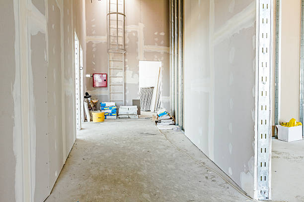 Best Comprehensive Air Testing for Mold Contaminants  in Gilroy, CA